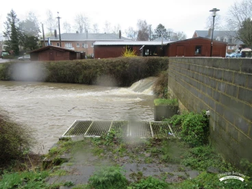 Martel mars2020   (27)