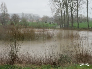 Martel mars2020   (16)