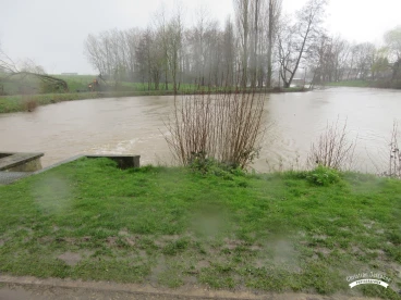 Martel mars2020   (9)