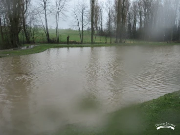 Martel mars2020   (23)