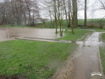 Martel mars2020   (5)