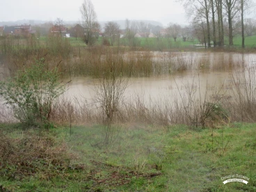 Martel mars2020   (14)