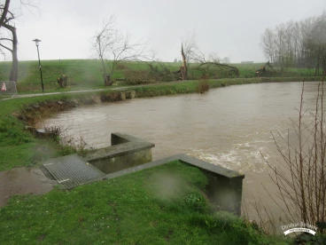 Martel mars2020   (10)