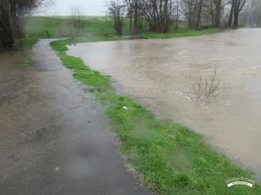 Martel mars2020   (21)