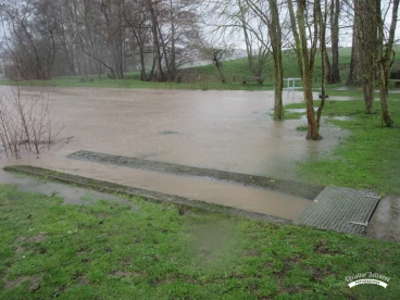 Martel mars2020   (7)