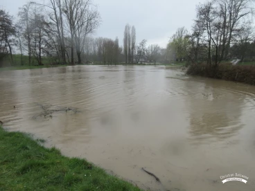 Martel mars2020   (18)