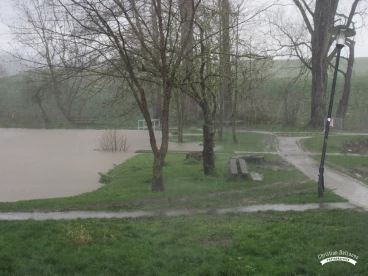 Martel mars2020   (3)