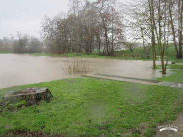 Martel mars2020   (6)