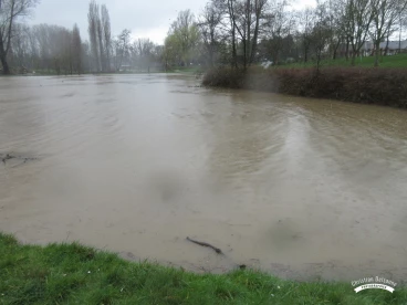 Martel mars2020   (19)