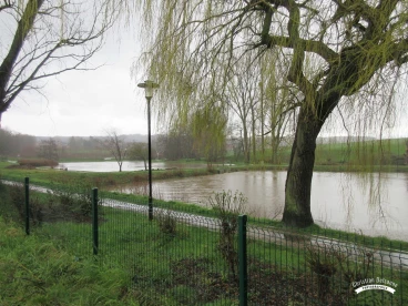 Martel mars2020   (01)