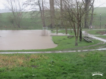 Martel mars2020   (2)