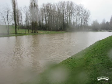 Martel mars2020   (24)