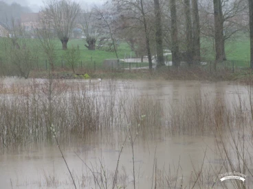 Martel mars2020   (15)