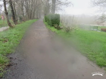 Martel mars2020   (11)