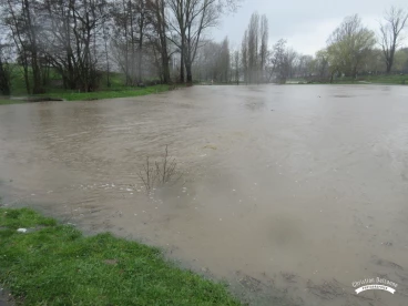 Martel mars2020   (20)