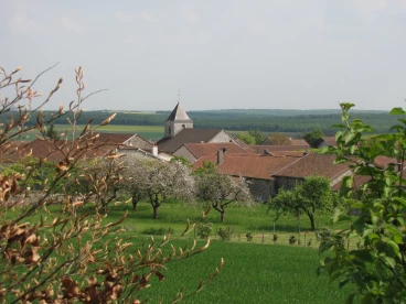 Colombey 2011  (001)