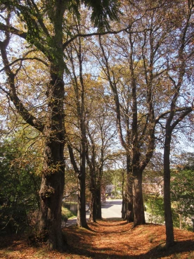 Henripont chapelle 2025 (012)