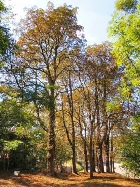Henripont chapelle 2025 (013)