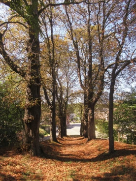 Henripont chapelle 2025 (009)