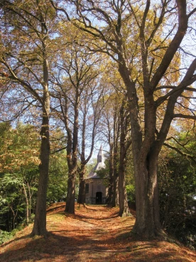 Henripont chapelle 2025 (004)