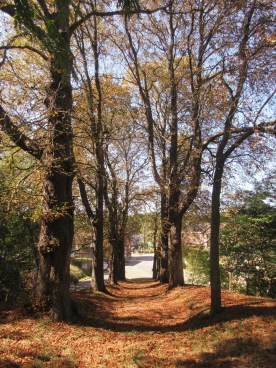 Henripont chapelle 2025 (008)
