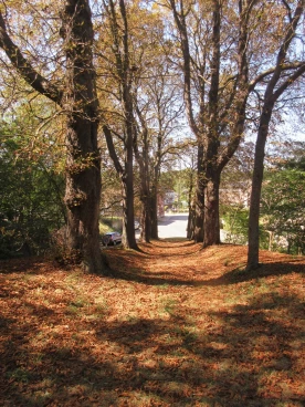 Henripont chapelle 2025 (010)