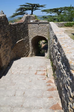 Bonnieux haut 2015  (011)