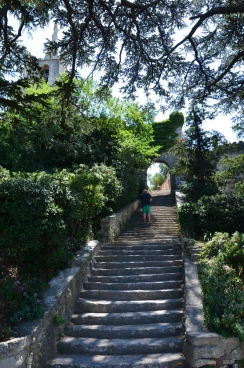 Bonnieux haut 2015  (013)