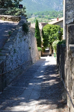 Bonnieux haut 2015  (012)