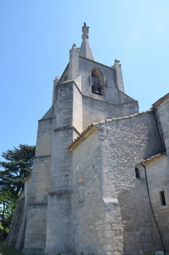 Bonnieux haut 2015  (006)
