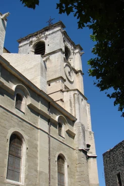 Isles sur la sorgue 2009 (001)