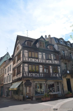 Colmar 2019 (035)
