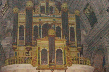 Saint Remy 2009 (023)