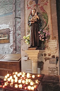 Saint Remy 2009 (020)