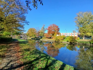 Martel  20241024 010