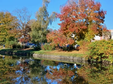 Martel  20241024 008