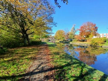 Martel  20241024 011