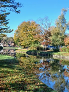 Martel  20241024 009