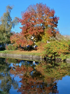 Martel  20241024 007