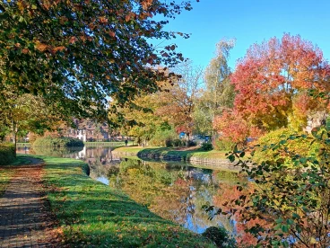 Martel  20241024 004