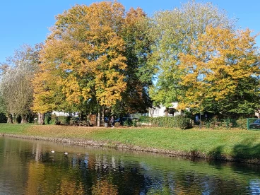 Martel  20241024 002