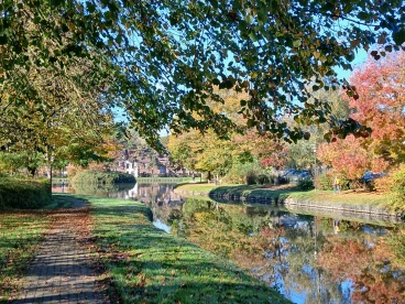 Martel  20241024 005