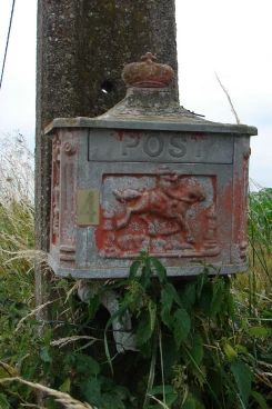 BAL 2022-06-19 15-15-08 2