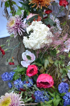 Amaryllis 2025 (006)