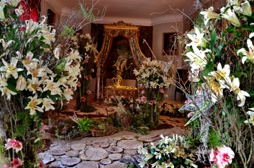 Amaryllis 2025 (049)