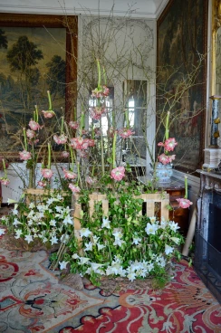 Amaryllis 2025 (040)