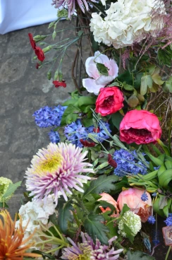 Amaryllis 2025 (007)