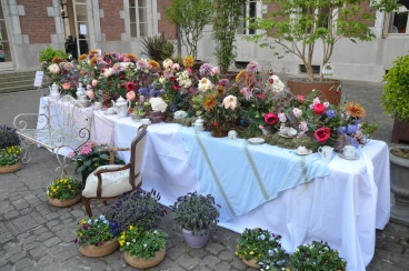 Amaryllis 2025 (003)