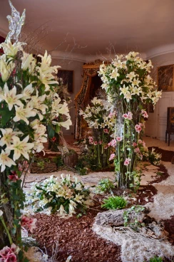 Amaryllis 2025 (050)