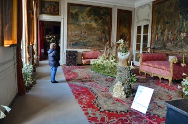 Amaryllis 2025 (038)